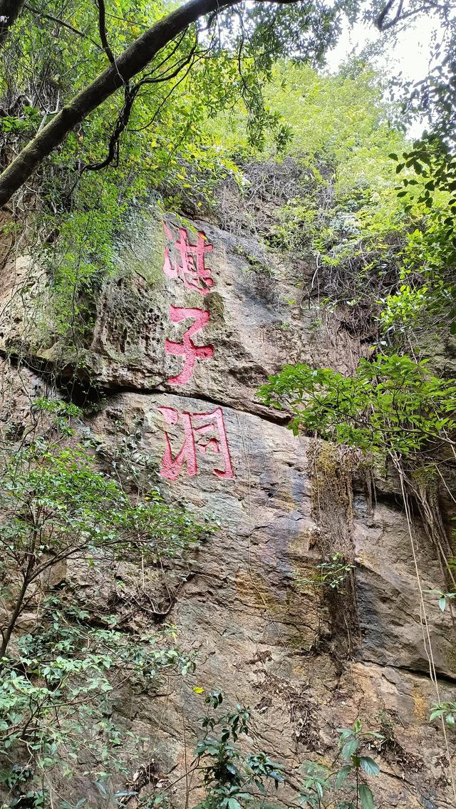 广州有什么山可以爬免费,广州有什么山可以爬免费景区.