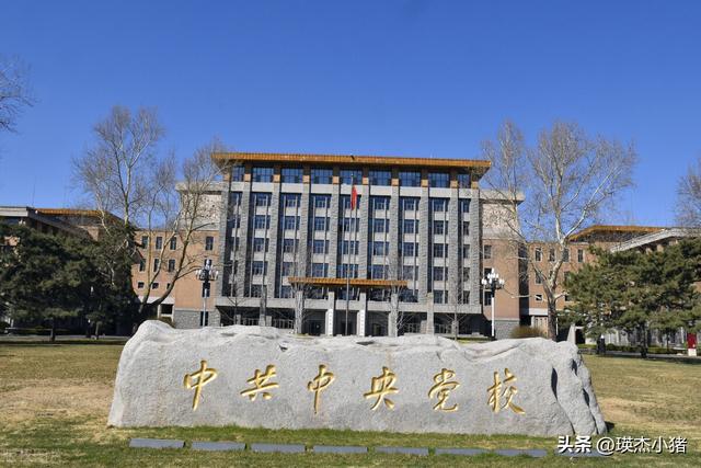 党委和政府的区别通俗解释（党委和政府的区别是什么）