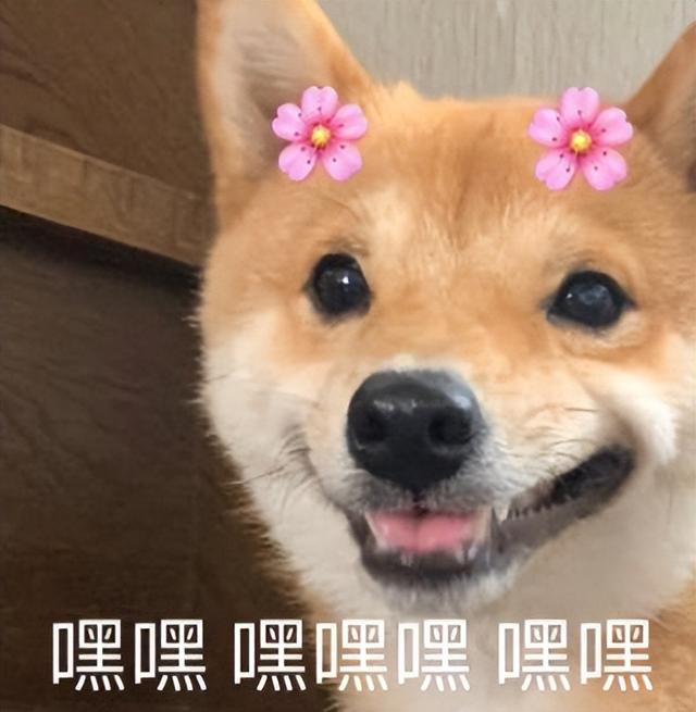 北京大观园门票预约官网,北京大观园门票预约官网入口.