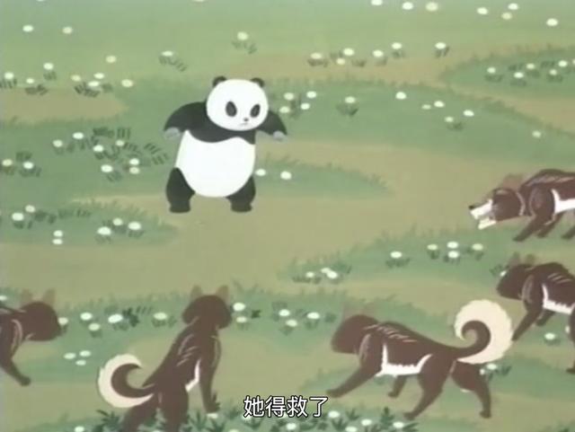熊猫的故事1981在线观看，熊猫的故事_电影？