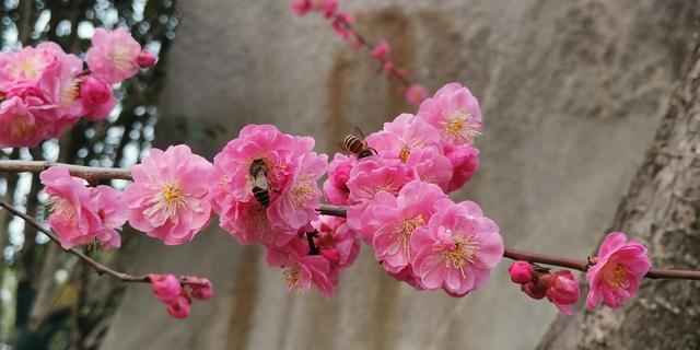 写景的现代诗自创(至少三小节)，写景的现代诗自创小诗？