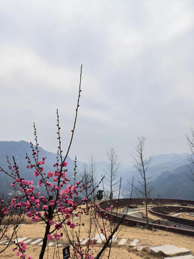 北海到西安多少公里路,北海到西安多少公里路程高速.