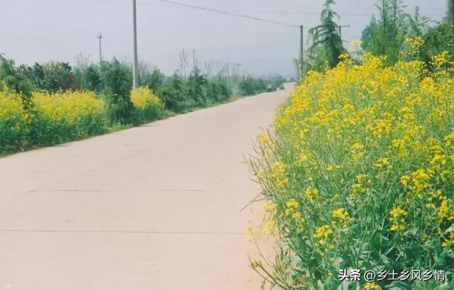 关于农村生活的文案,关于农村生活的文案段子剧本.