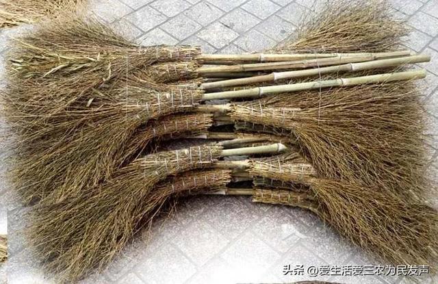 农村冷门暴利种植行业,看看种植的是什么,农村利润很吓人的10个冷门种植.